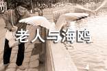 老人與海鷗續寫(xiě)500