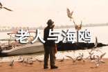 《老人與海鷗》教后反思范文300字