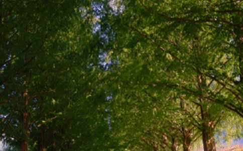 ���a���ϵ�ЦС�W(xu��)����400��