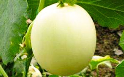 ���С�W(xu��)���꼉����