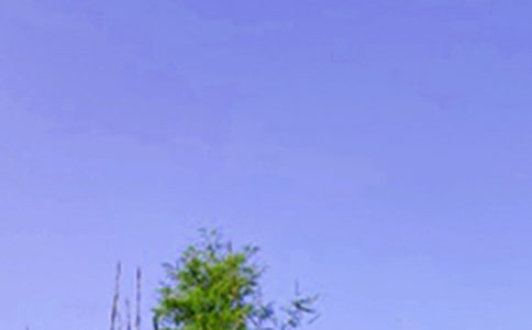 ��(y��u)�����簲QQ��(w��n)���Z(y��)�󼯺�64�l