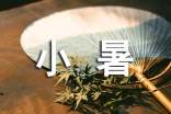 小暑節氣介紹教案(通用11篇)
