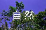 人教版八年級上冊《大自然的語(yǔ)言》教案