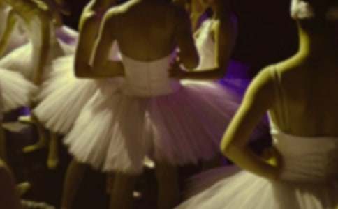 �P(gu��n)�ڿ������脡����