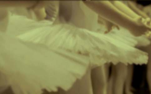 ����������ݵ�����