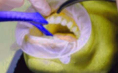 ��������500�ֺϼ�8ƪ