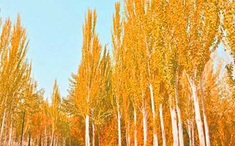 С�W(xu��)���ח�Z(y��)��һ�꼉�σԽ̰�