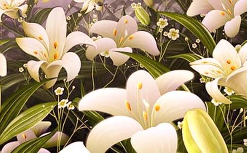 ���꼉�n�İٺϻ��̰���ͨ��8ƪ��