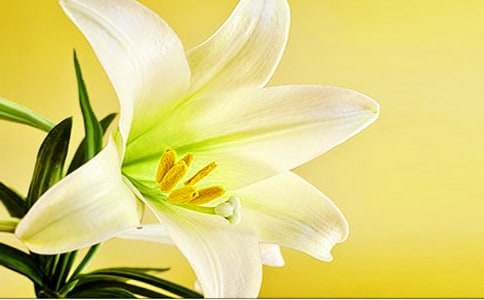 �Ҽҵİٺϻ�����500��