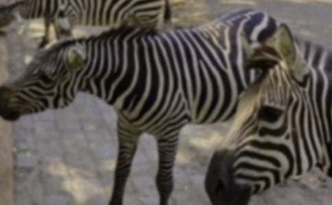 �Y׌���R��(xi��n)С�W(xu��)����