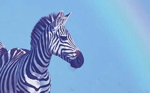 �Y׌���R��(xi��n)���ģ����x47ƪ��