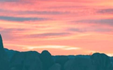 ��������������4ƪ