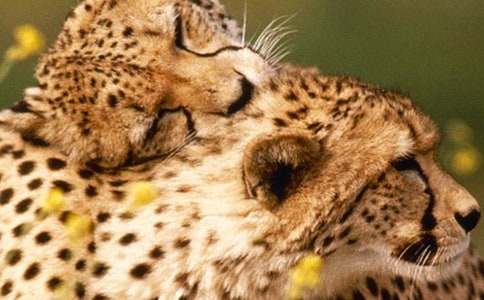 �P(gu��n)�ڱ��ӵ�����600�֣�ͨ��13ƪ��