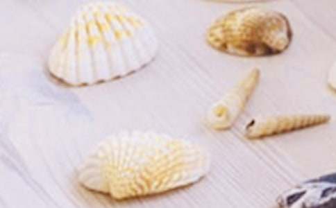 ؐ�������ľ��x