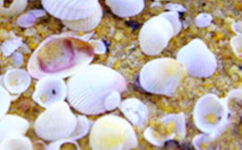 ����һöؐ������ʰ������