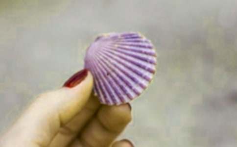 ؐ�������\��7ƪ