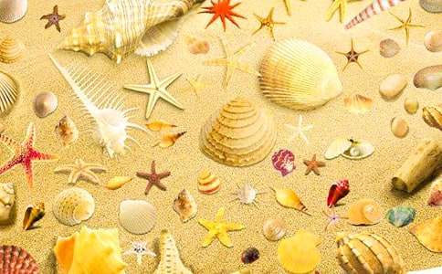 ɳ���ϵ�Сؐ�����꼉����