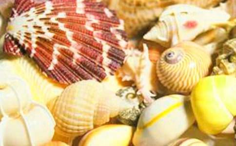 ��Ȥ��ؐ������С�W(xu��)����