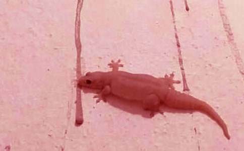 ��(xi��)�����ıڻ����^(gu��n)��