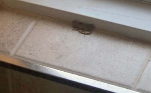 �^(gu��n)��ڻ�������(3ƪ)