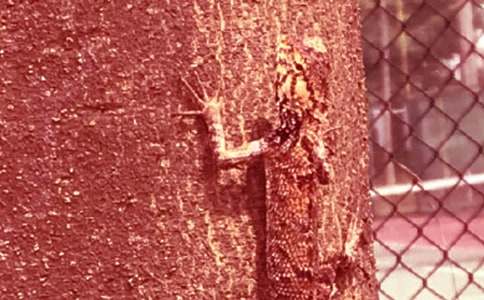 �ڻ�����500�ֺϼ�10ƪ