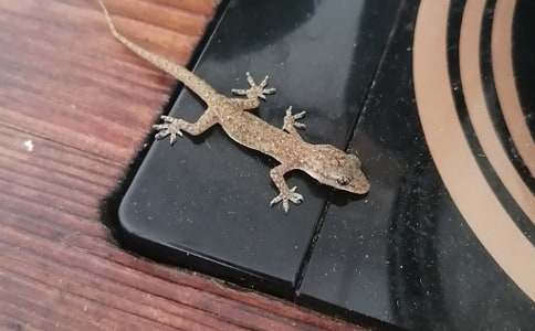 �n�ġ�С�ڻ���β�͡��̰�