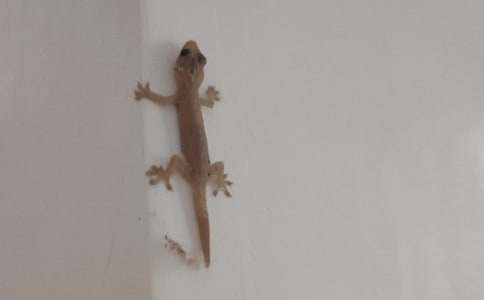 ���꼉С�ڻ���β�ͽ̰��OӋ