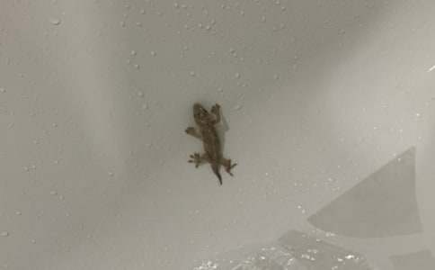 �^(gu��n)��С�ڻ�����