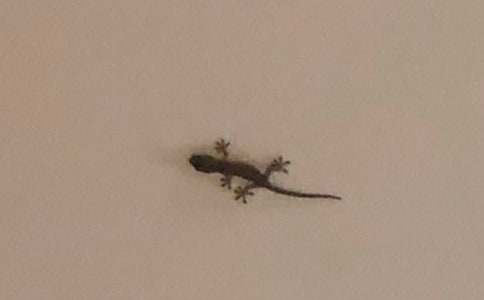 ���^(gu��n)��ڻ�����