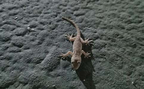 С�ڻ���β�͵Ľ̌W(xu��)�OӋ����