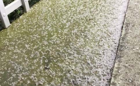 冰雹的初二作文