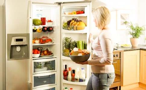 我家的電冰箱作文800字