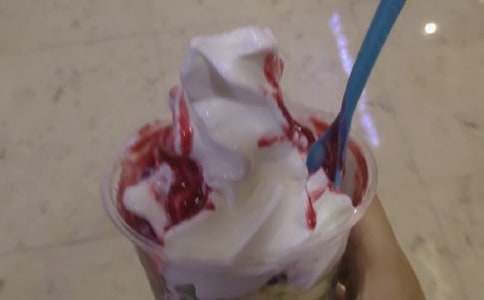 自己做冰淇淋作文600字