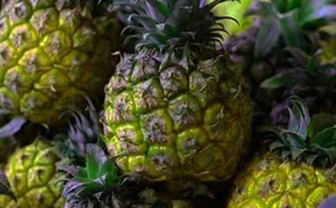 �茑(xi��)���}������300��