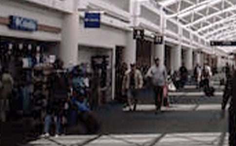 火龍彩燈博覽會(huì )敘事作文