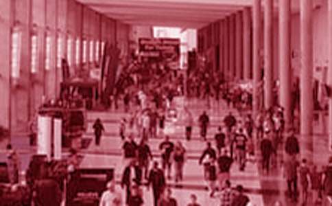 參觀(guān)中國海洋博覽會(huì )四年級作文