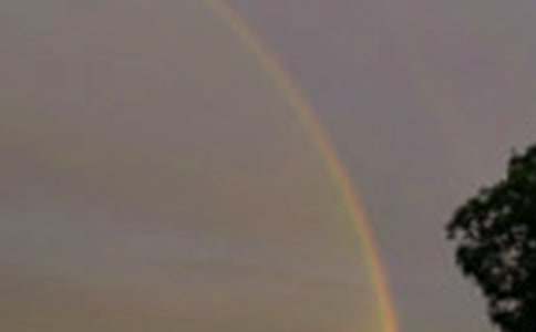 ����(j��ng)�v��������ôҊ(ji��n)�ʺ����ģ����x29ƪ��