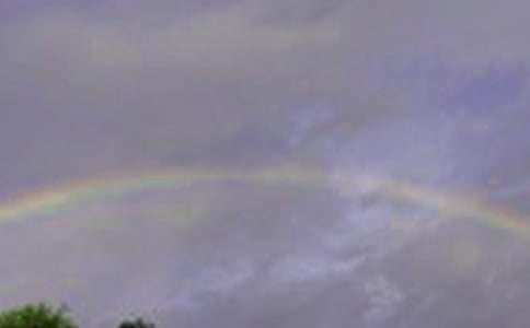 �茑(xi��)���ʺ������