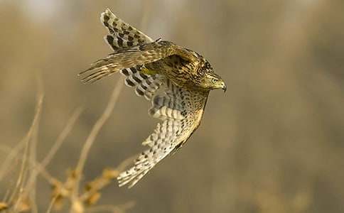 �n������700��