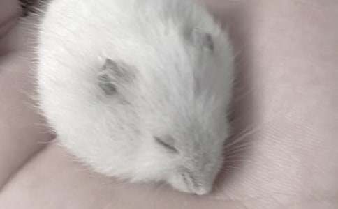 С�}��(sh��)��(sh��)����������700��