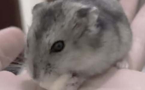 ��(xi��)С��(d��ng)��}������500��22ƪ