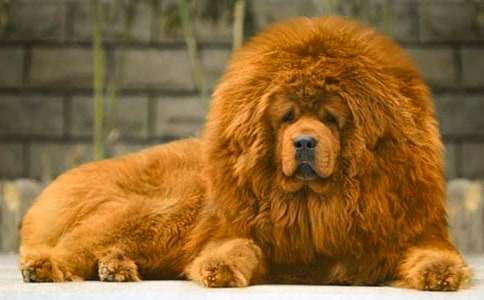 ����༪���^(gu��n)��з��ģ�ͨ��15ƪ��