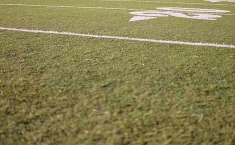 �ļ��Ĳو�(ch��ng)���ģ�ͨ��55ƪ��