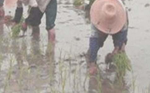 ���f(w��n)������衷ȫ�ļ��b�p