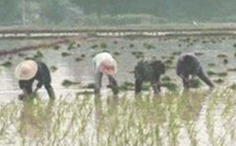 ��һ�β������ģ�ͨ��27ƪ��