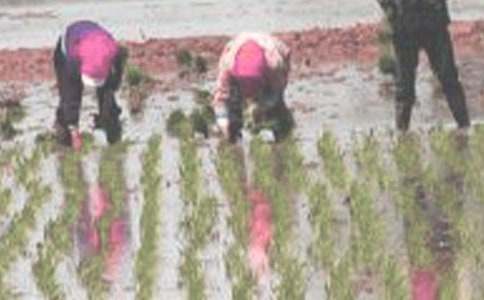 �W(xu��)��������800��