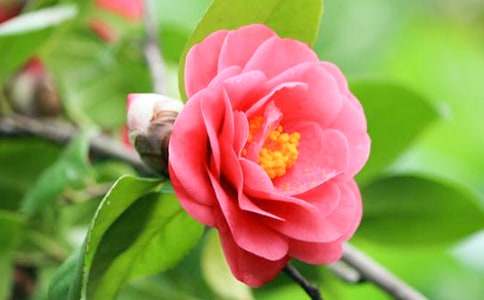 �^(gu��n)��軨����