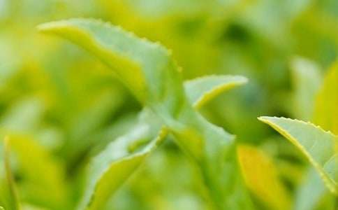 �^(gu��n)����~���ģ�ͨ��25ƪ��