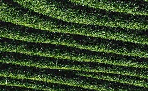 Λρ�W(xu��)����~��������700��