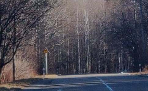 �L(ch��ng)��ɽ�L(f��ng)������300�־��x3ƪ